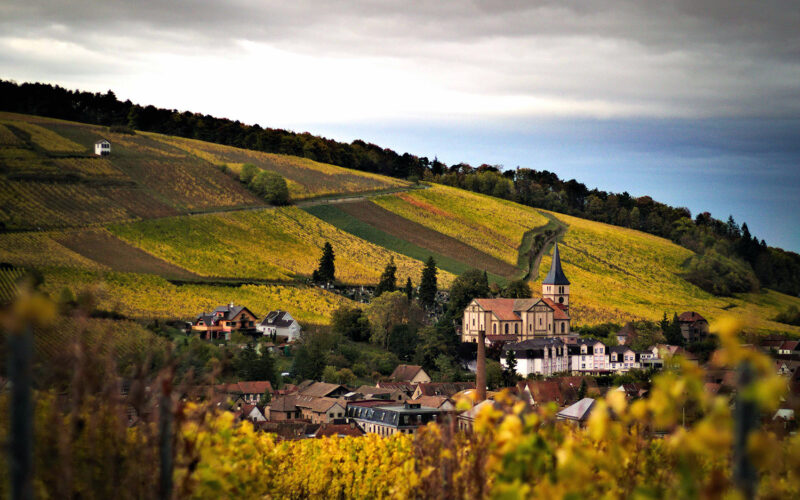 Privinliège : Domaine partenaire de la région de Alsace : photo