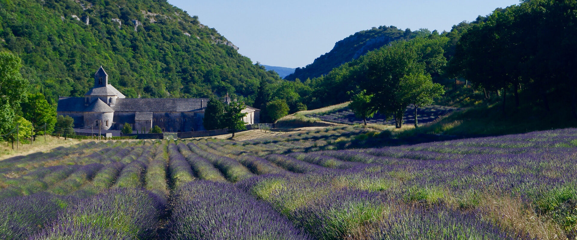 Privinliège : Région de Provence : les domaines partenaires
