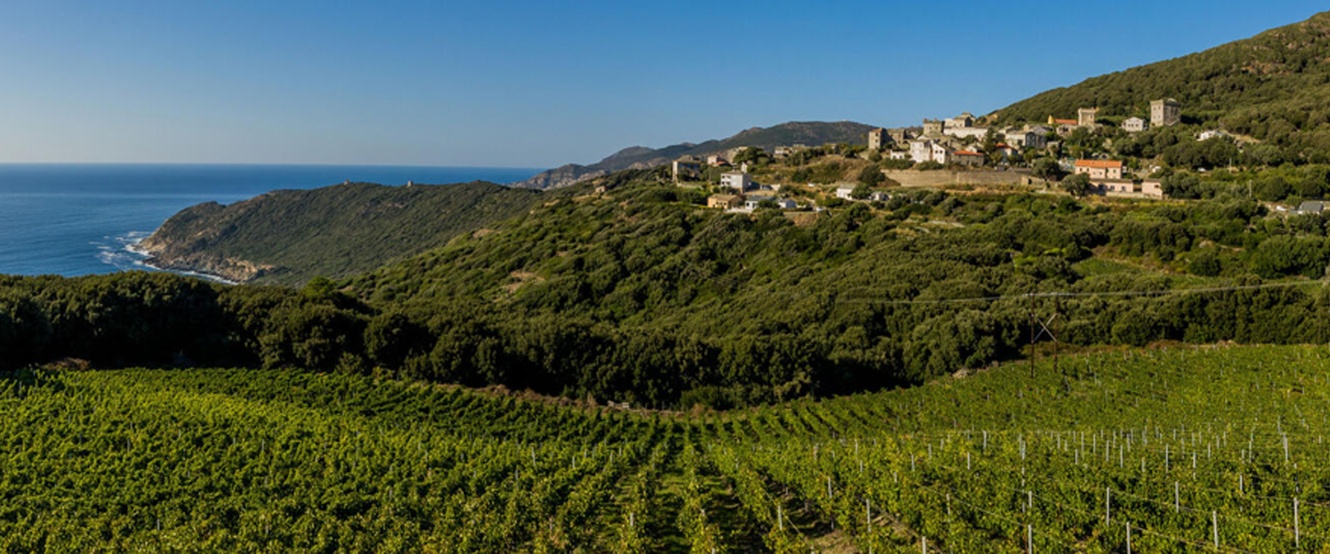 Privinliège : Région de Corse : les domaines partenaires