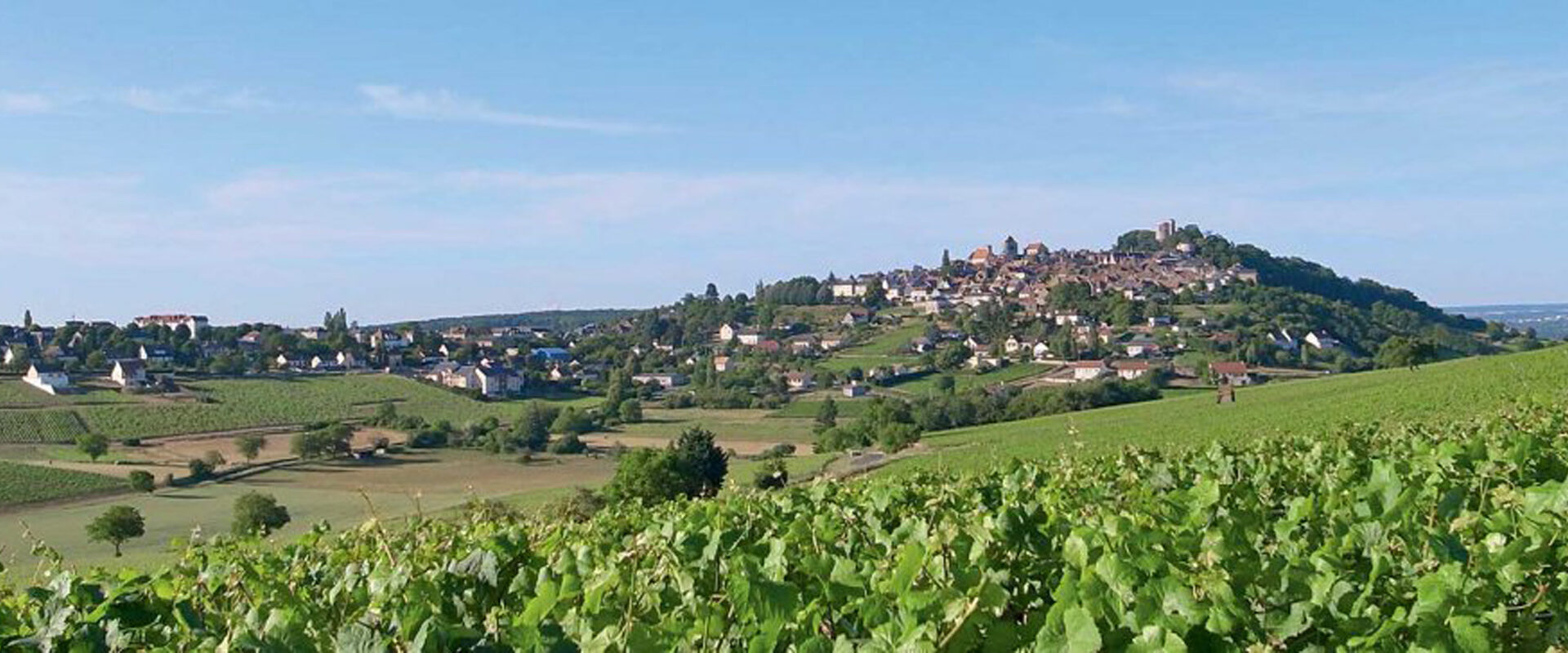 Privinliège : Région de Vallée de la Loire : les domaines partenaires