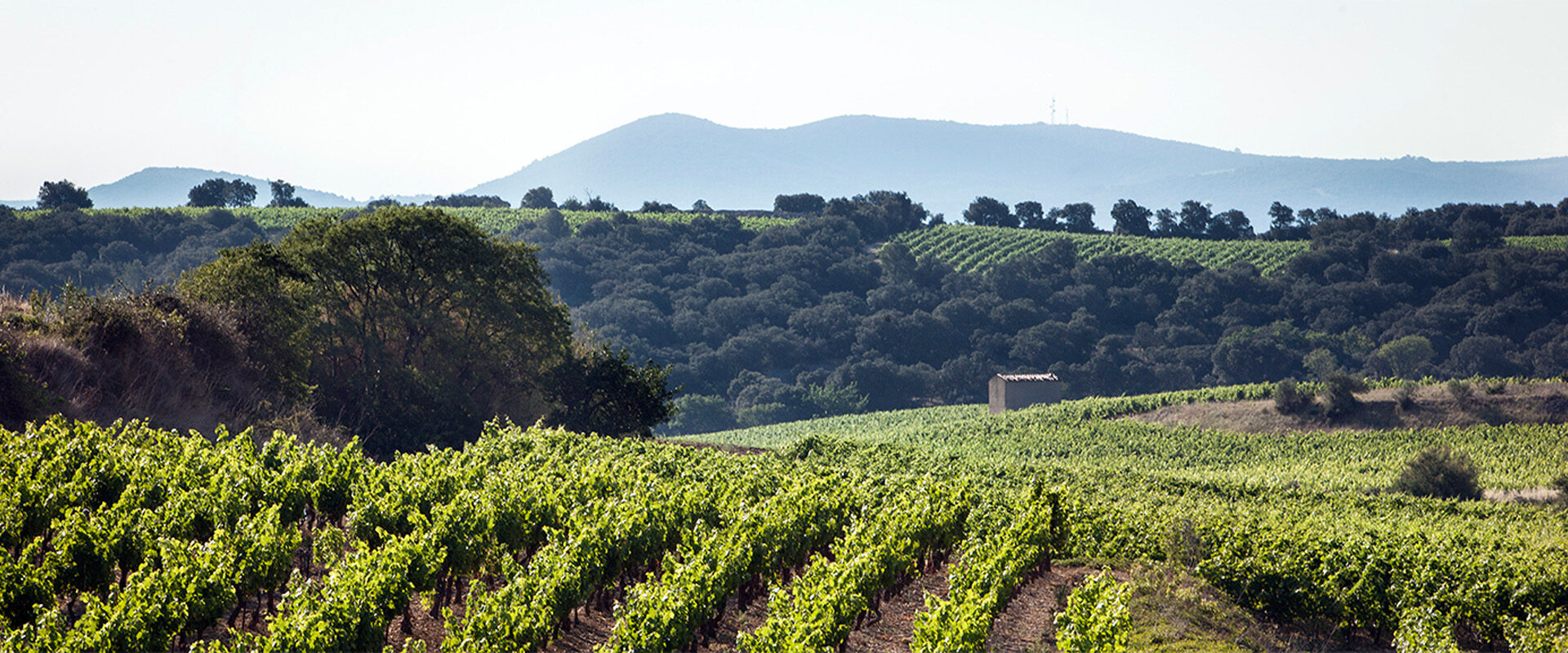 Privinliège : Région de Languedoc : les domaines partenaires